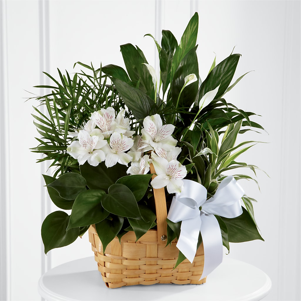 Peace & Serenity Dishgarden – A Floral Gallery, Clayton MO