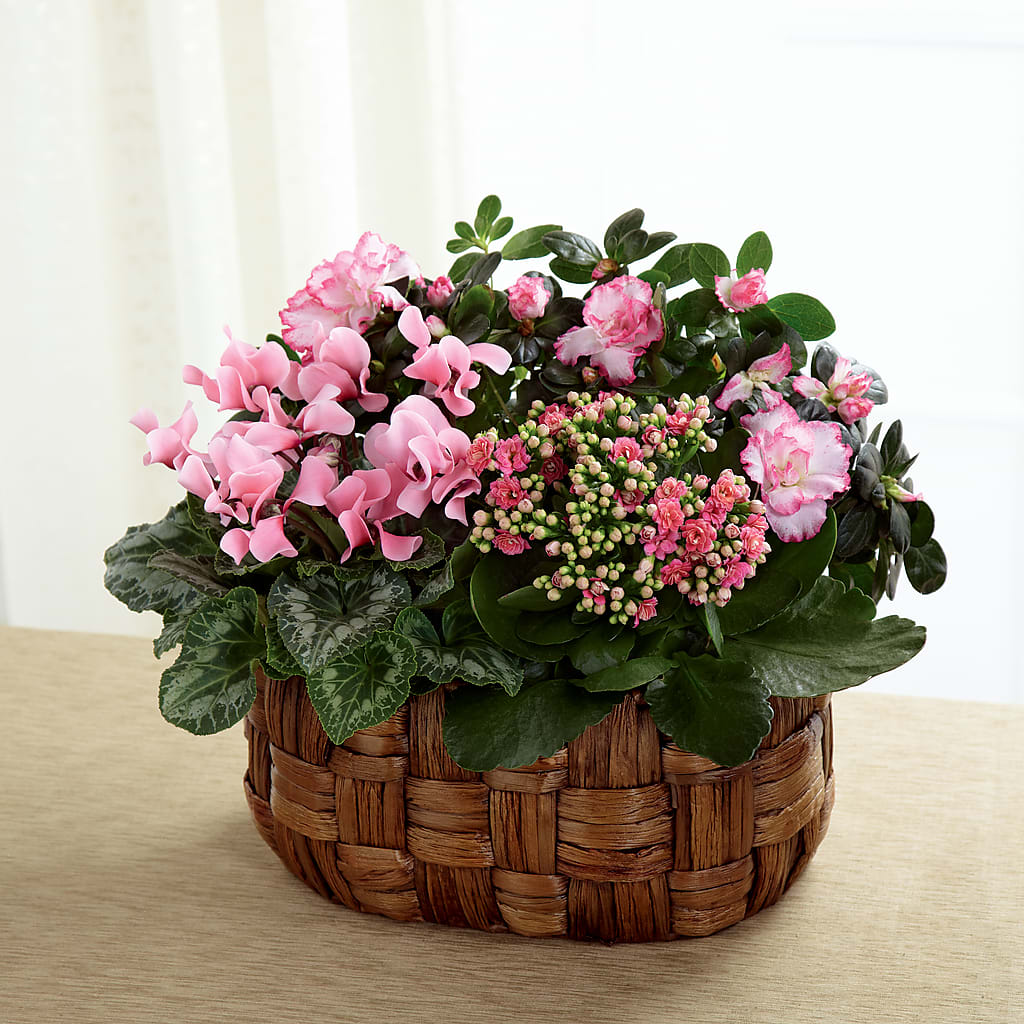 Pink Assortment – A Floral Gallery, Clayton MO
