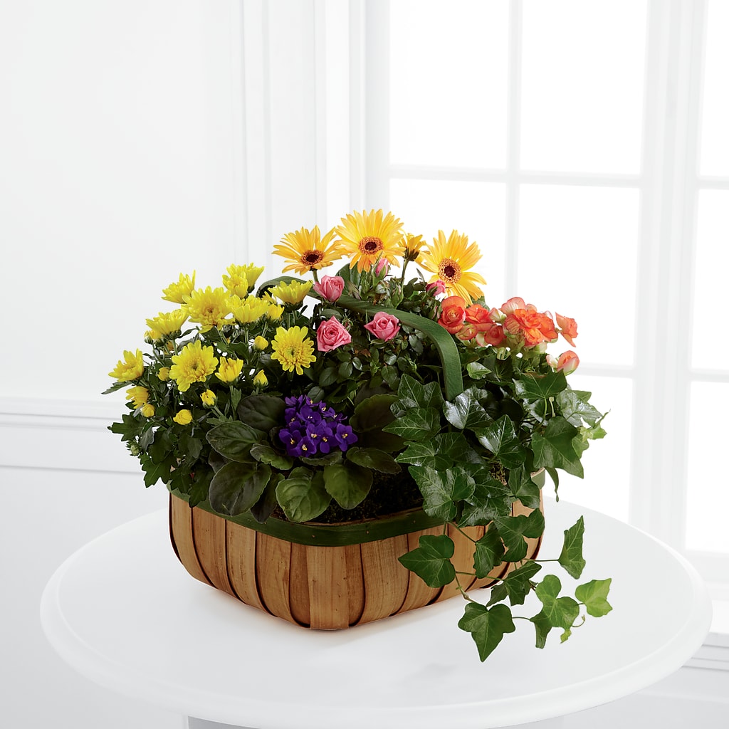 Gentle Blossoms Basket – A Floral Gallery, Clayton MO