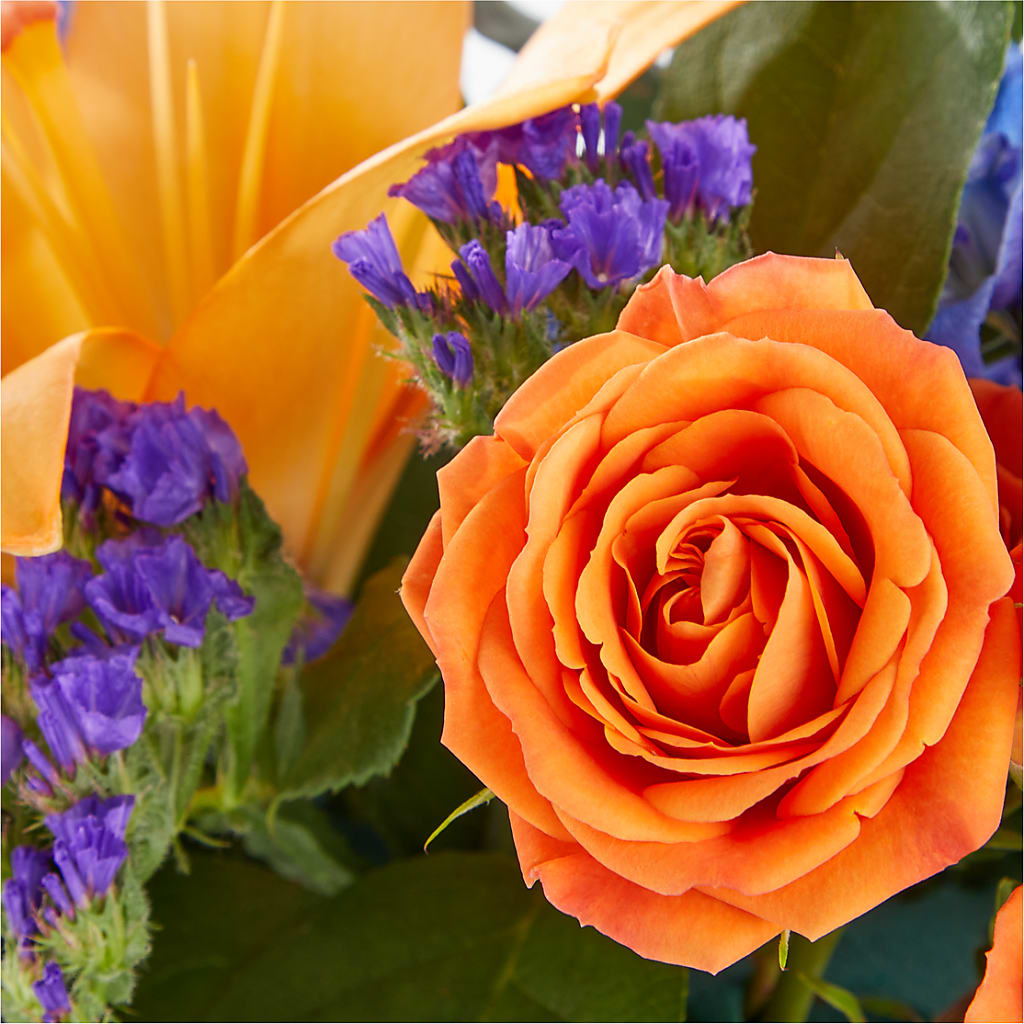 Radiant Citrus Box Bouquet – A Floral Gallery, Clayton MO