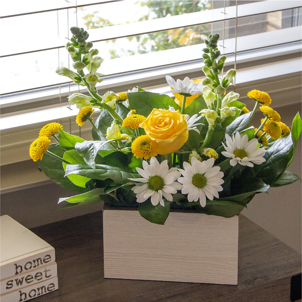 Sun Salutation Box Bouquet – A Floral Gallery, Clayton MO