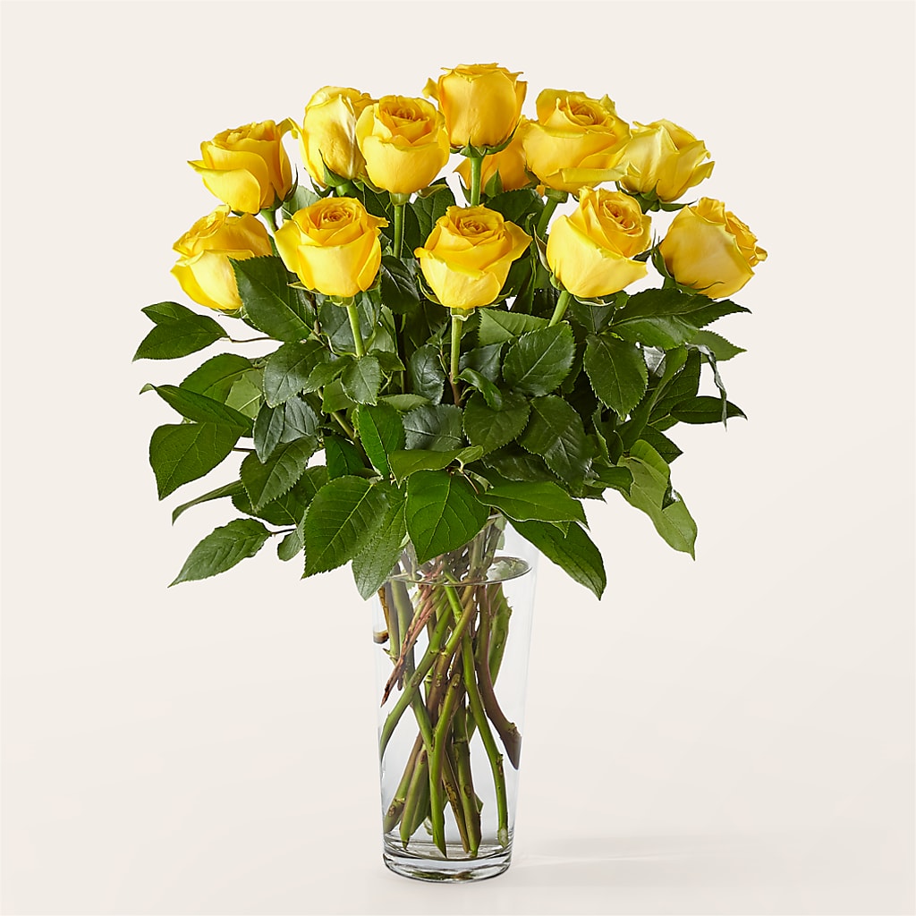 Long Stem Yellow Rose Bouquet – A Floral Gallery, Clayton MO