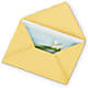 Greeting Card – A Floral Gallery, Clayton MO