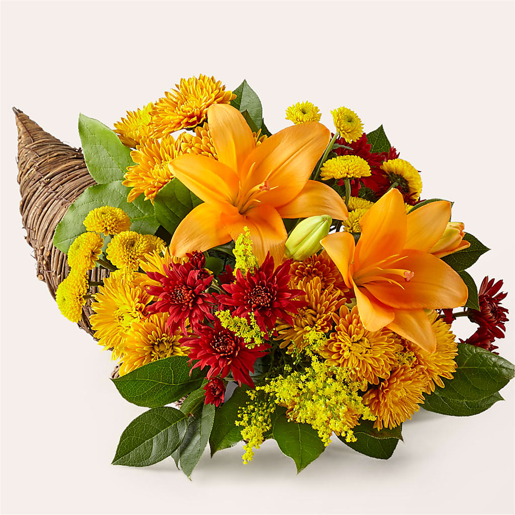 Feast of Color Cornucopia – A Floral Gallery, Clayton MO