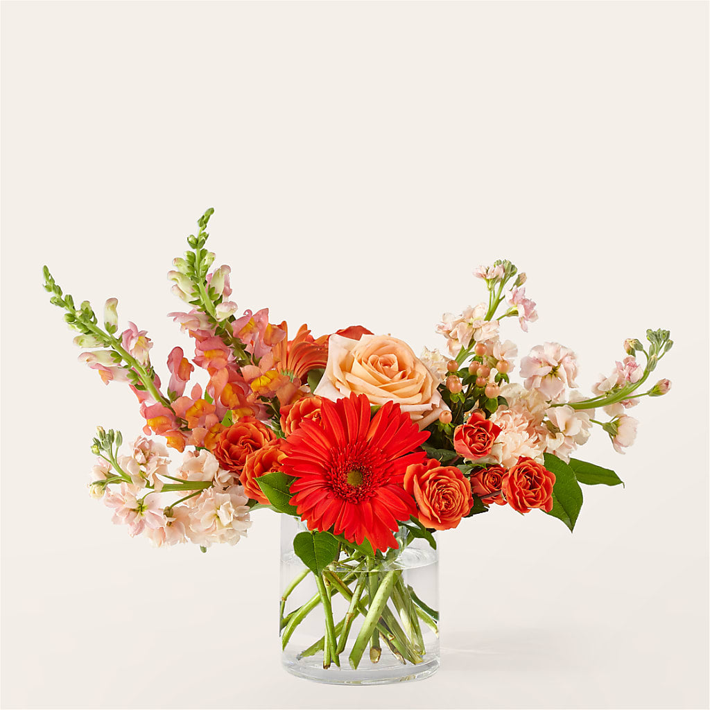 Paloma Please Bouquet – A Floral Gallery, Clayton MO