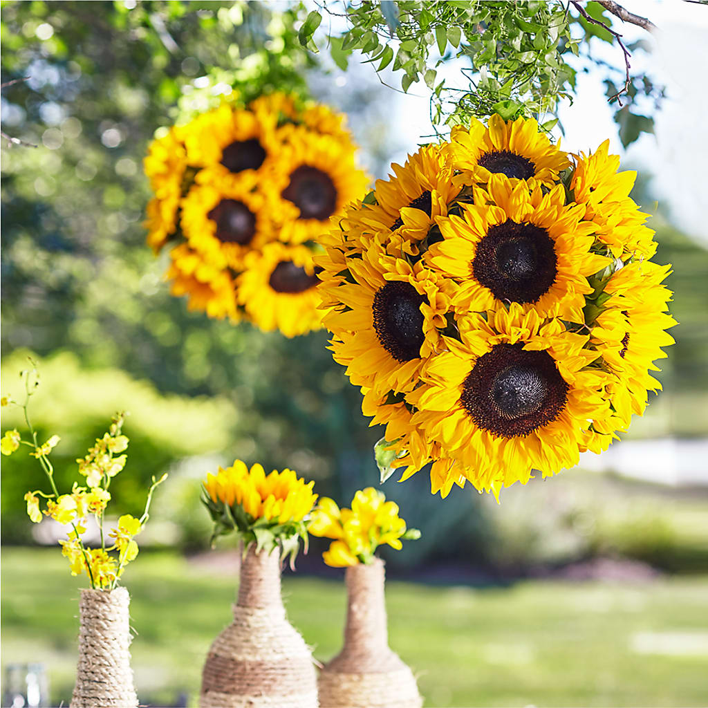 Sublime Garden Hanging Arrangement – A Floral Gallery, Clayton MO