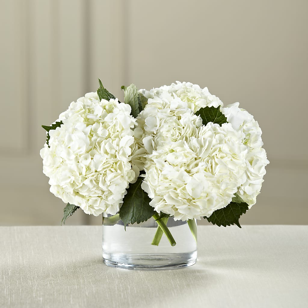 White Hydrangea Bouquet – A Floral Gallery, Clayton MO