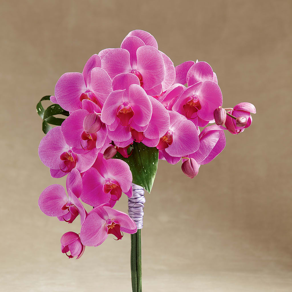 Glorious Bouquet – A Floral Gallery, Clayton MO