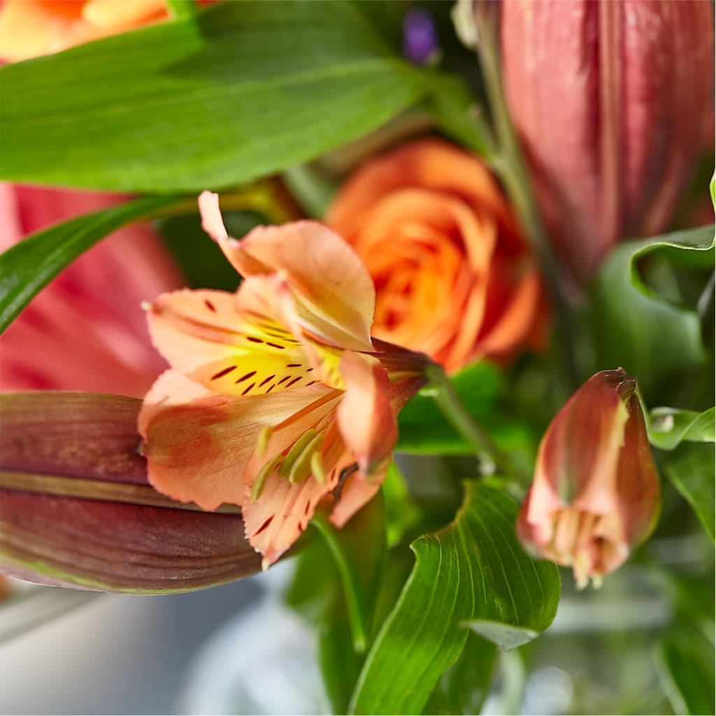 Bold & Bright – A Florist Original –  A Floral Gallery, Clayton MO