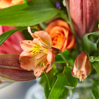 Bold & Bright – A Florist Original –  A Floral Gallery, Clayton MO