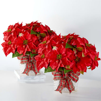 Happiest Holidays Poinsettia Bundle –  A Floral Gallery, Clayton MO