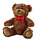Adorable Plush Bear –  A Floral Gallery, Clayton MO