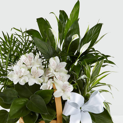 Peace & Serenity Dishgarden –  A Floral Gallery, Clayton MO