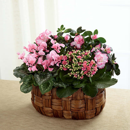 Pink Assortment –  A Floral Gallery, Clayton MO
