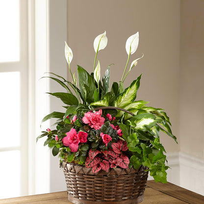 Dream in Pink Dishgarden –  A Floral Gallery, Clayton MO