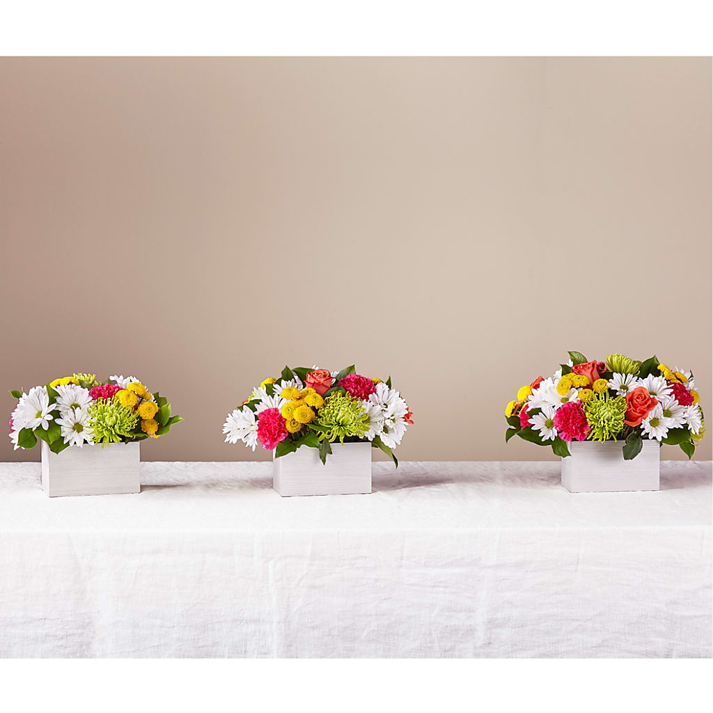 Sorbet Bouquet –  A Floral Gallery, Clayton MO