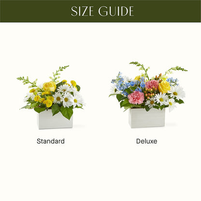 Sun Salutation Box Bouquet –  A Floral Gallery, Clayton MO