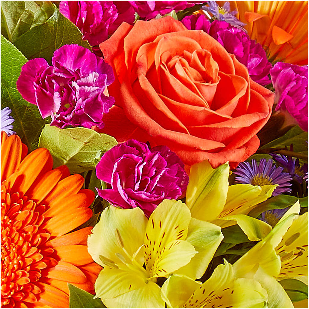 Tricks & Treats Pumpkin –  A Floral Gallery, Clayton MO