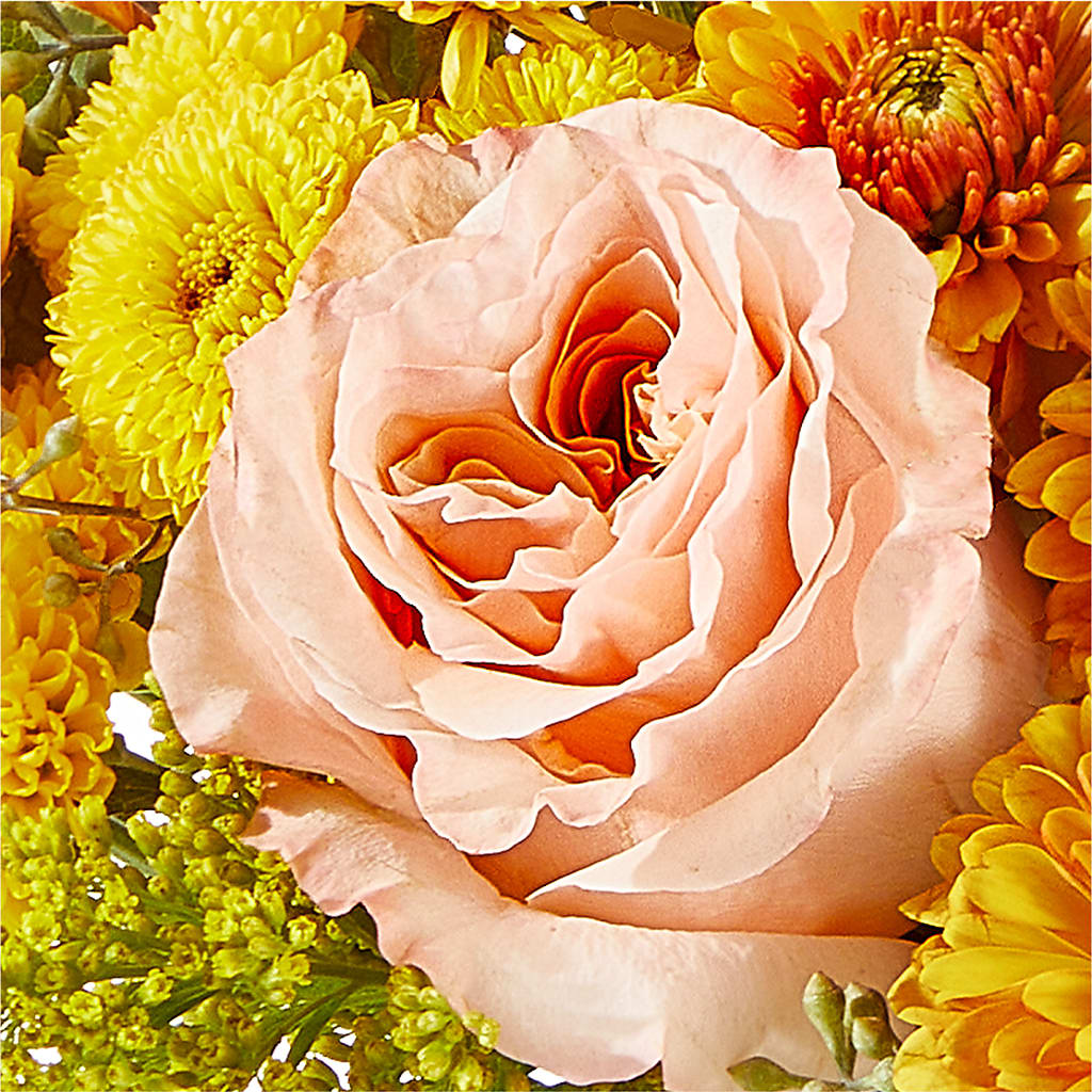 Peachy Pumpkin –  A Floral Gallery, Clayton MO