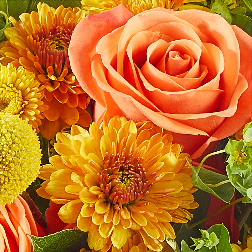 Gourdgeous Pumpkin –  A Floral Gallery, Clayton MO