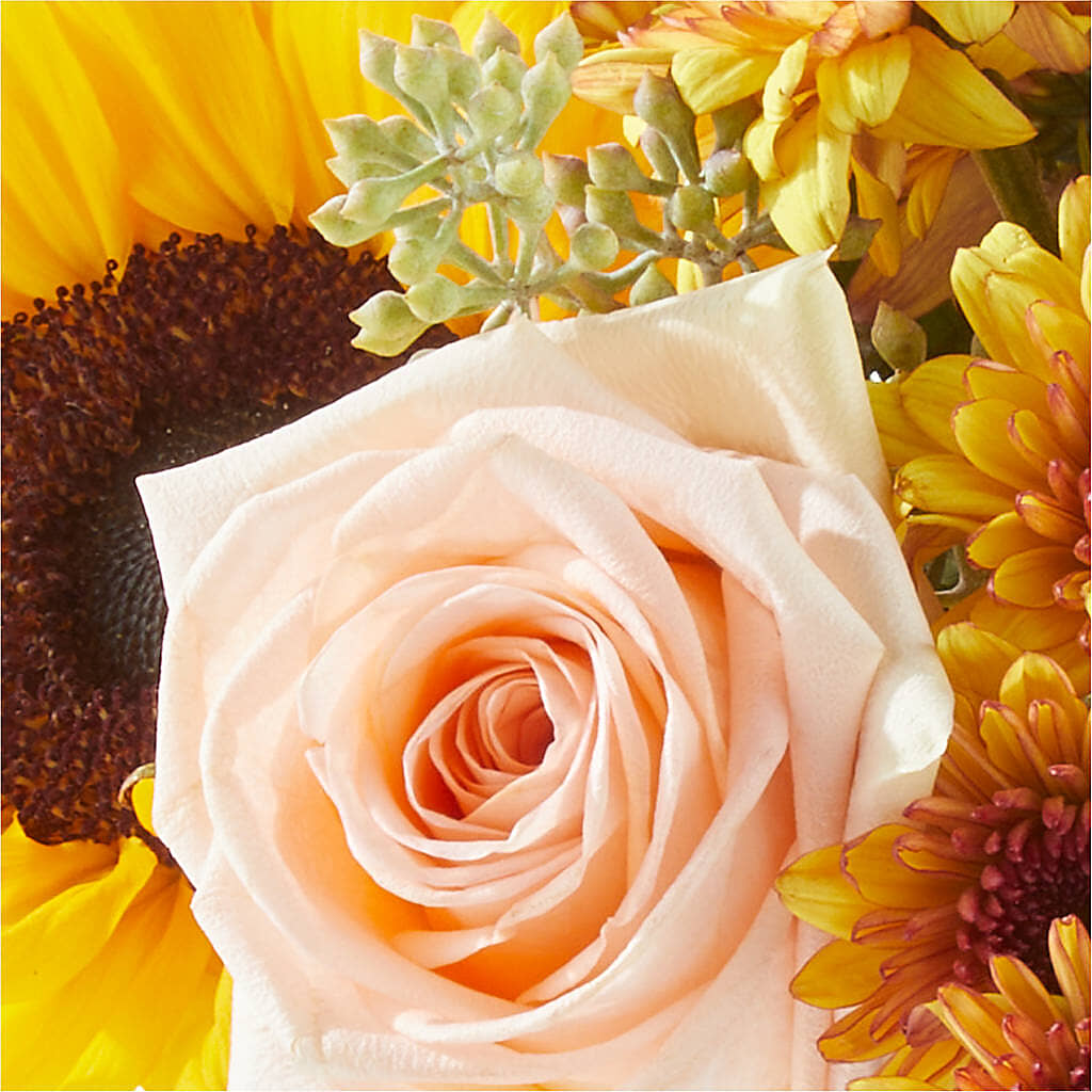 Pumpkin to Talk About Bouquet –  A Floral Gallery, Clayton MO