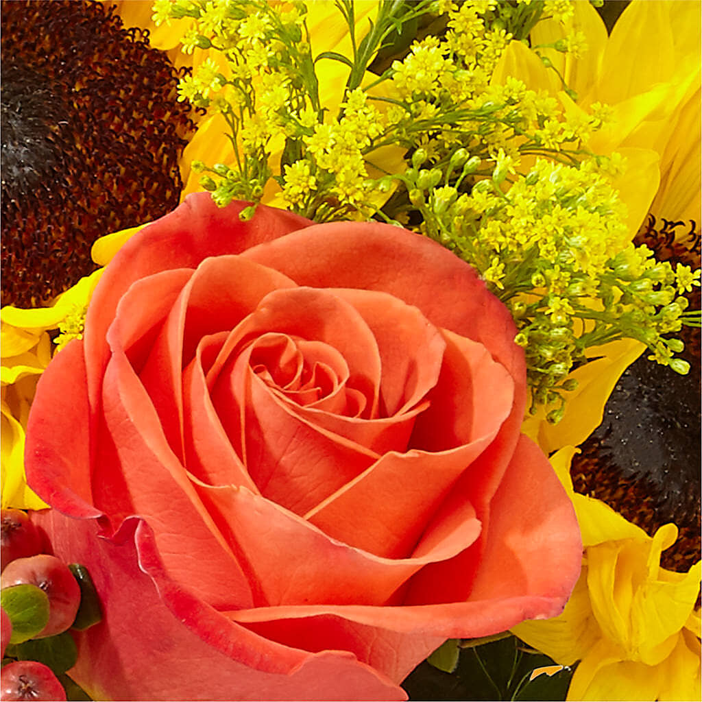 Pick of the Patch Pumpkin Bouquet –  A Floral Gallery, Clayton MO