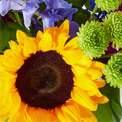 Catching Rays Bouquet –  A Floral Gallery, Clayton MO