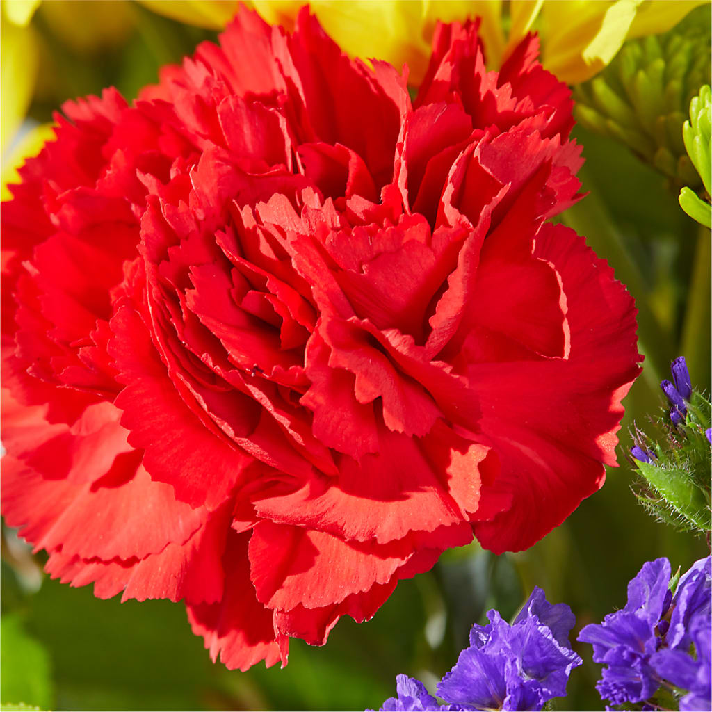 Brighter Days Bouquet –  A Floral Gallery, Clayton MO