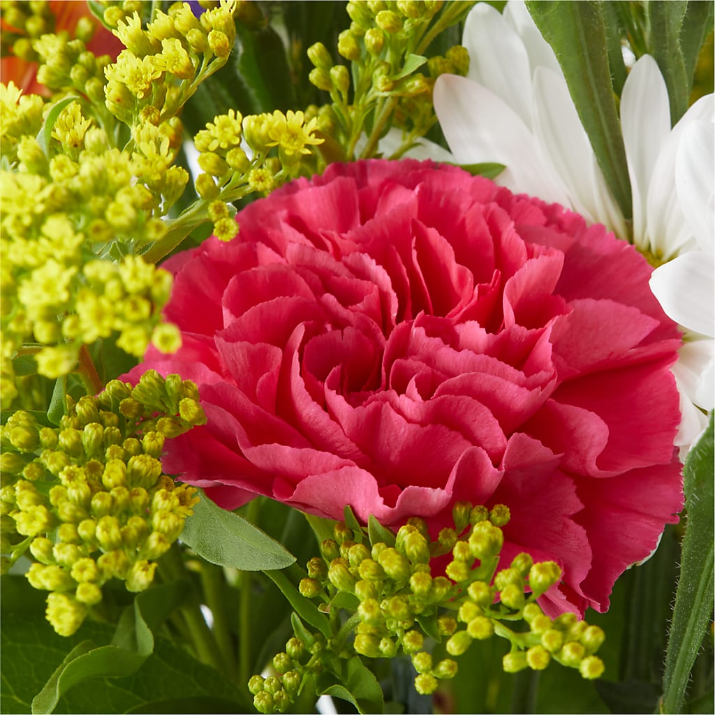 Oopsie Daisy Bouquet –  A Floral Gallery, Clayton MO