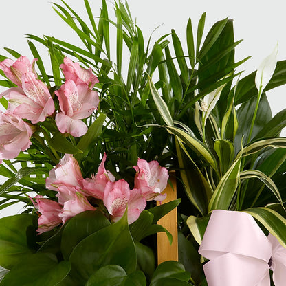 Living Spirit Dishgarden –  A Floral Gallery, Clayton MO
