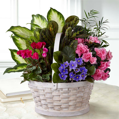 Peaceful Garden Planter –  A Floral Gallery, Clayton MO
