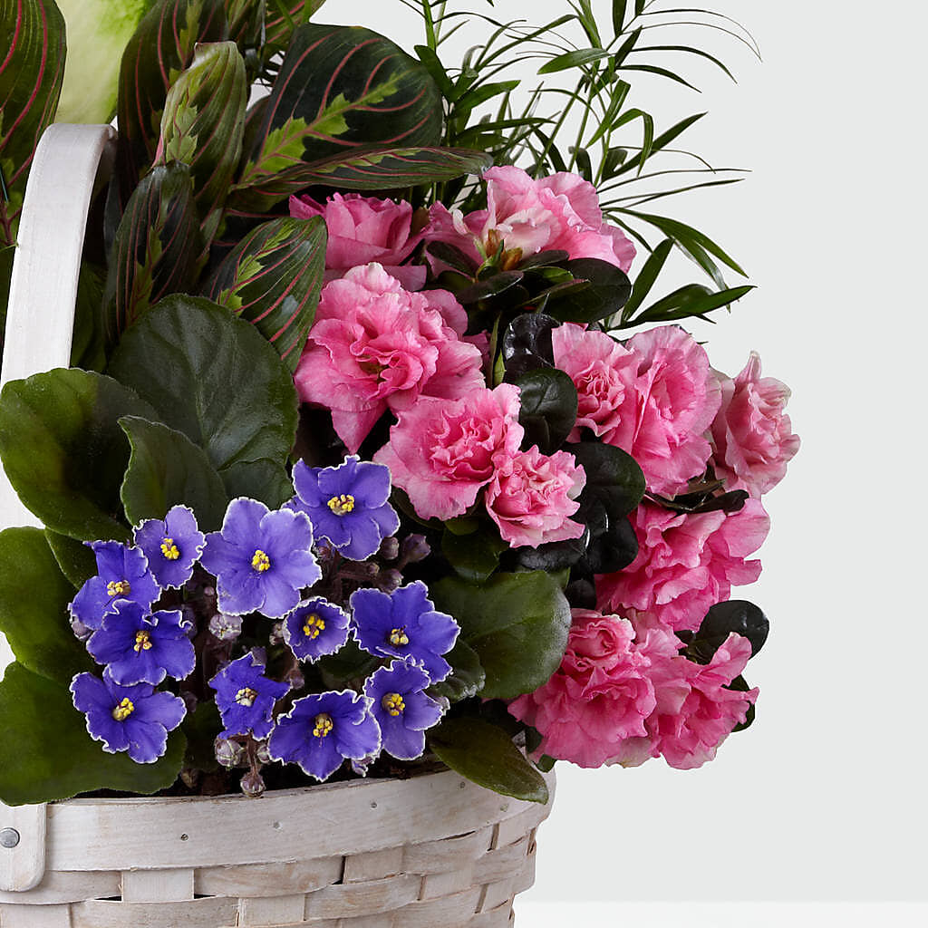 Peaceful Garden Planter –  A Floral Gallery, Clayton MO