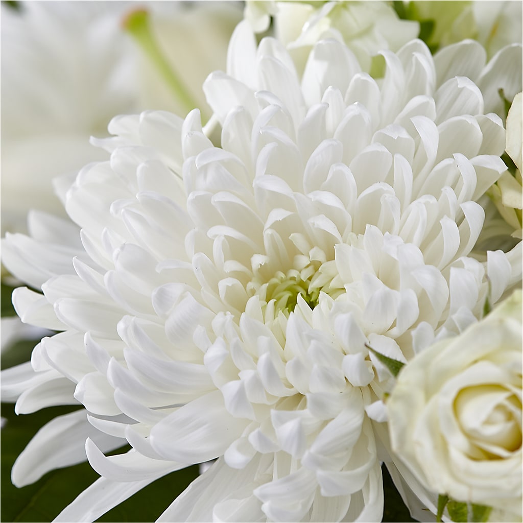 Classic Ivory – A Florist Original –  A Floral Gallery, Clayton MO