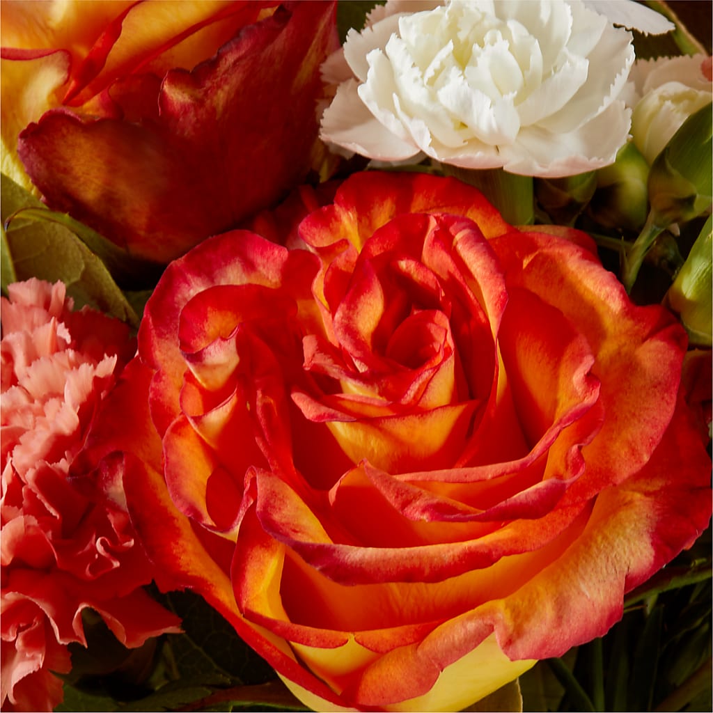 Apricot Glow Bouquet –  A Floral Gallery, Clayton MO