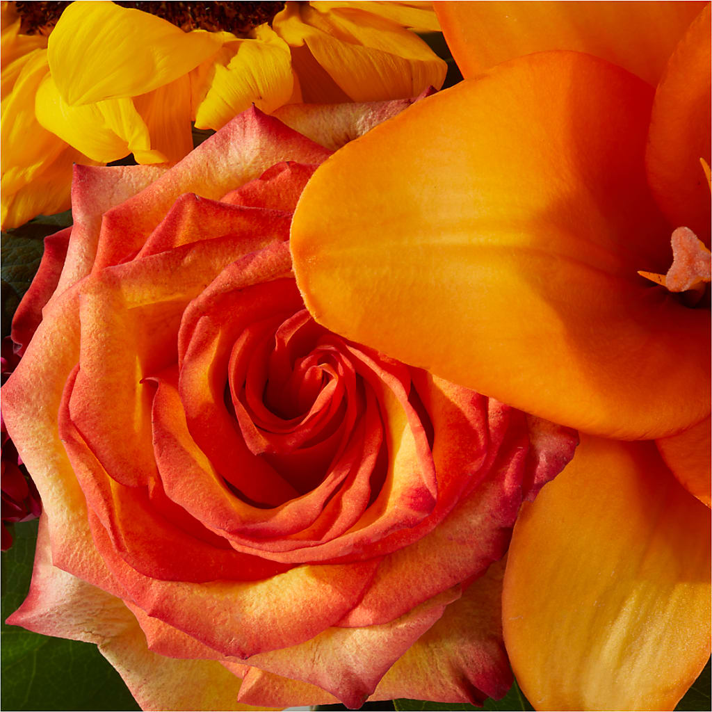 Grateful Centerpiece –  A Floral Gallery, Clayton MO
