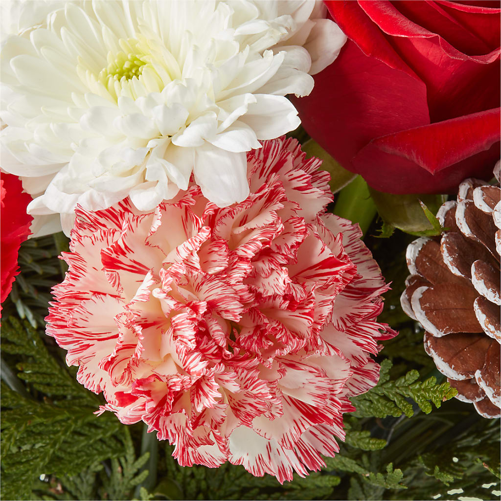 Candy Cane Lane Bouquet –  A Floral Gallery, Clayton MO