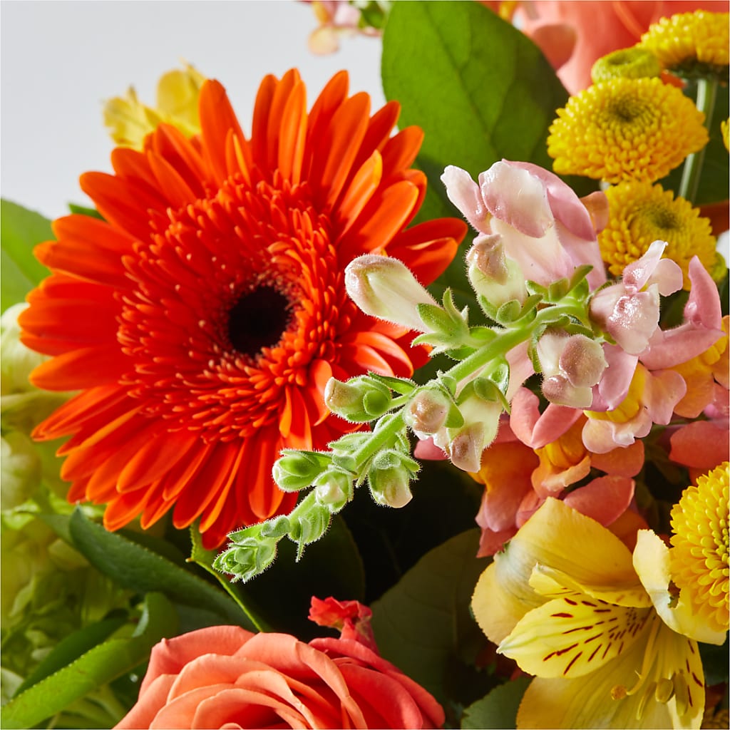 Autumn Sunshine Bouquet –  A Floral Gallery, Clayton MO