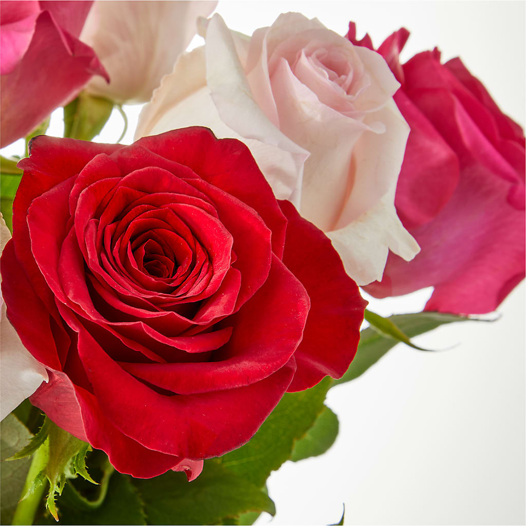Charming Rose Bouquet –  A Floral Gallery, Clayton MO