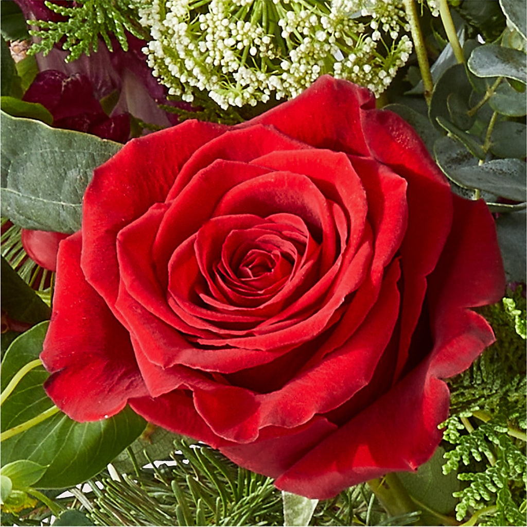 Cranberry Fizz Bouquet –  A Floral Gallery, Clayton MO