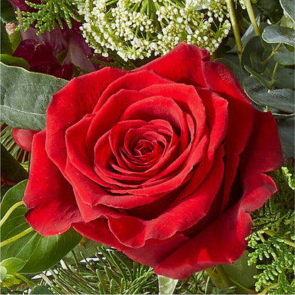 Cranberry Fizz Bouquet –  A Floral Gallery, Clayton MO