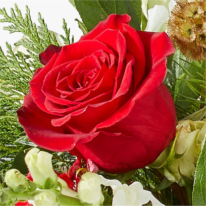 Deck the Halls Bouquet –  A Floral Gallery, Clayton MO