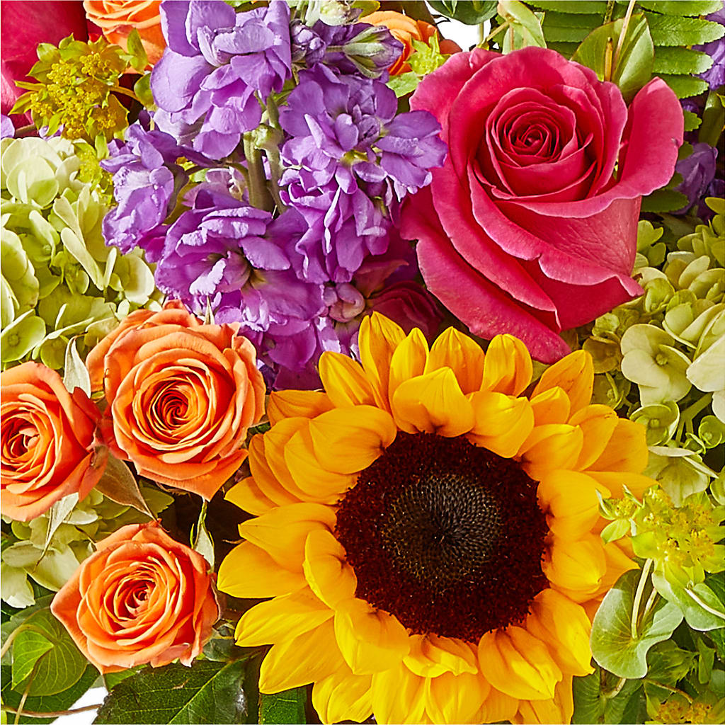 Vibrant Greetings Bouquet –  A Floral Gallery, Clayton MO