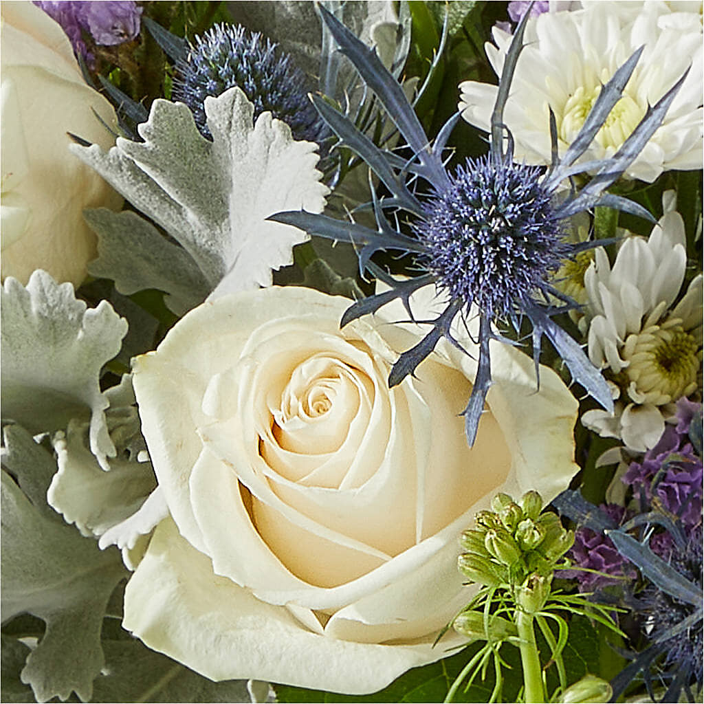 Shooting Star Bouquet –  A Floral Gallery, Clayton MO