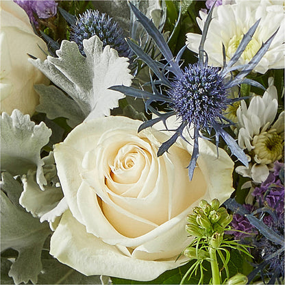 Shooting Star Bouquet –  A Floral Gallery, Clayton MO