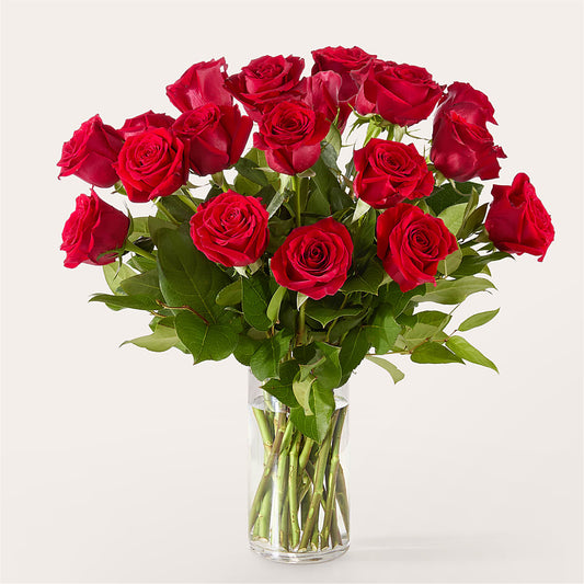 The One Red Rose Bouquet –  A Floral Gallery, Clayton MO