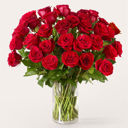 The One Red Rose Bouquet –  A Floral Gallery, Clayton MO