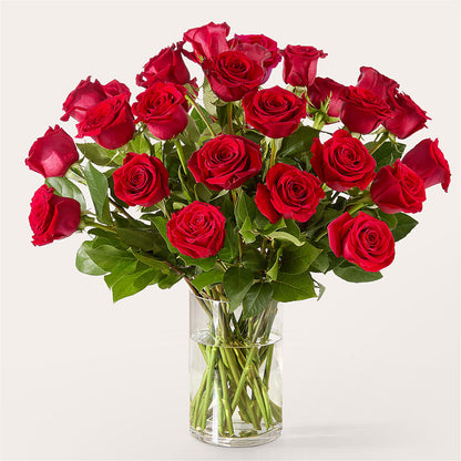 The One Red Rose Bouquet –  A Floral Gallery, Clayton MO