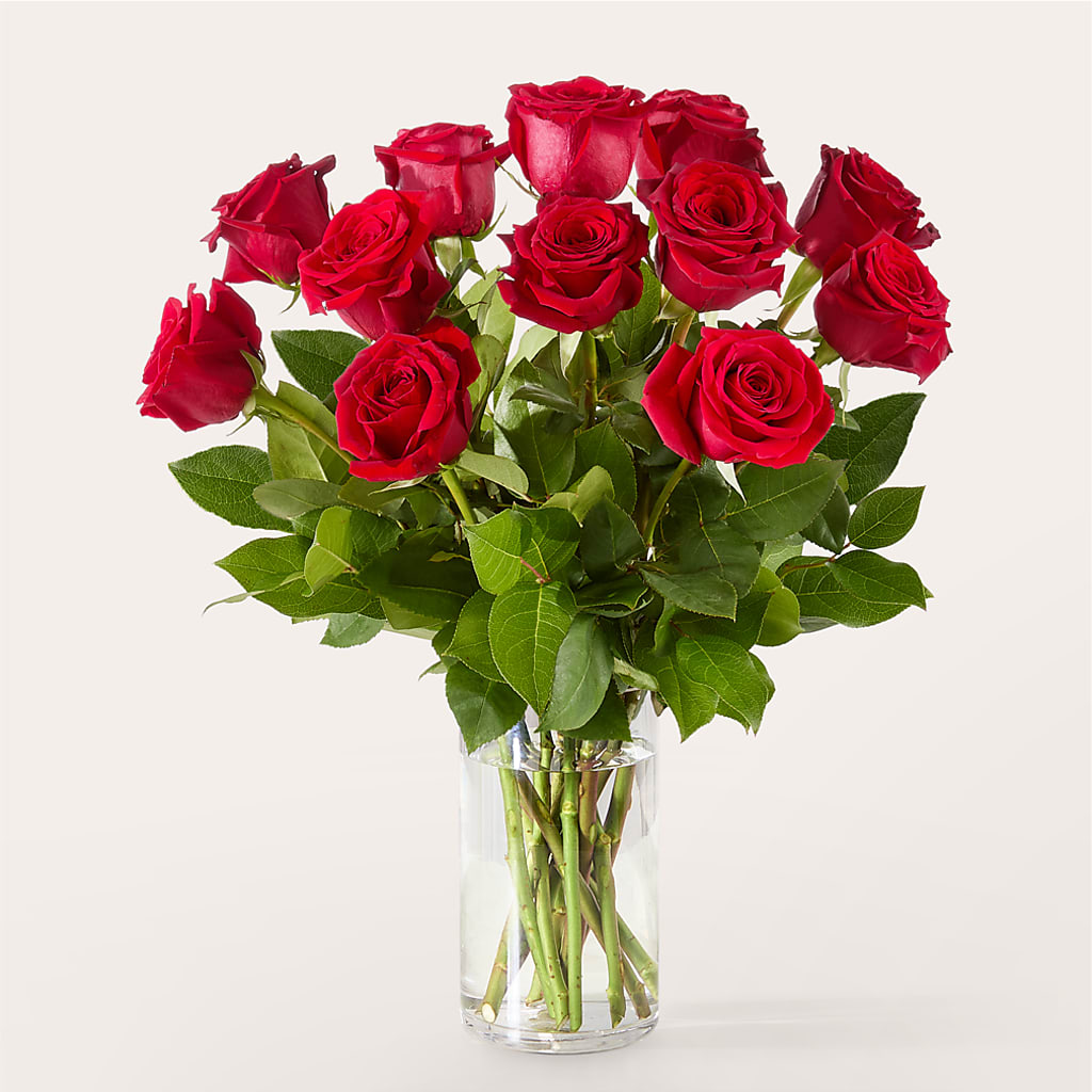 The One Red Rose Bouquet –  A Floral Gallery, Clayton MO