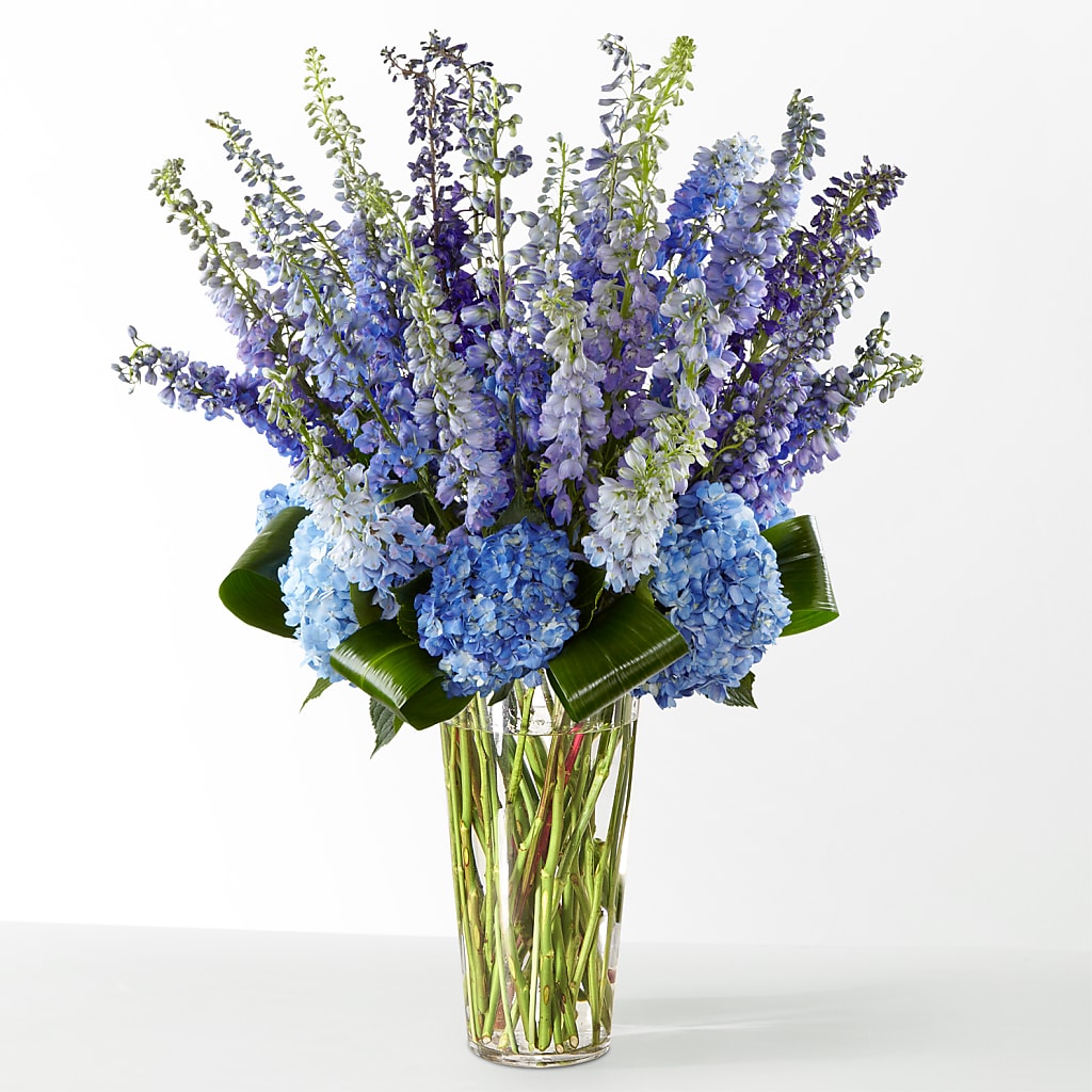 The Editorial –  A Floral Gallery, Clayton MO