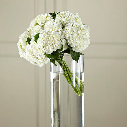 White Hydrangea Hand-Tied Bouquet –  A Floral Gallery, Clayton MO